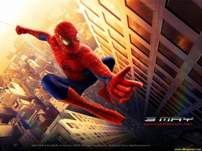 spide rmane