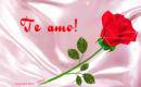 je aime